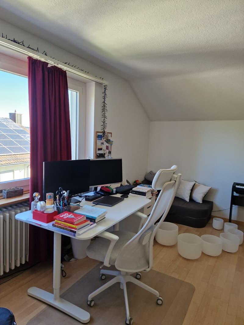 Wohnung Winterthur Wallrüti (4)