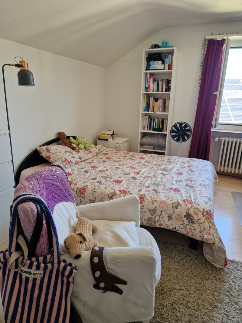 Wohnung Winterthur Wallrüti (3)