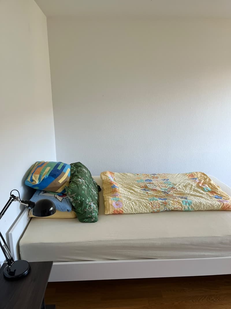 WG-Zimmer in Witikon (3)