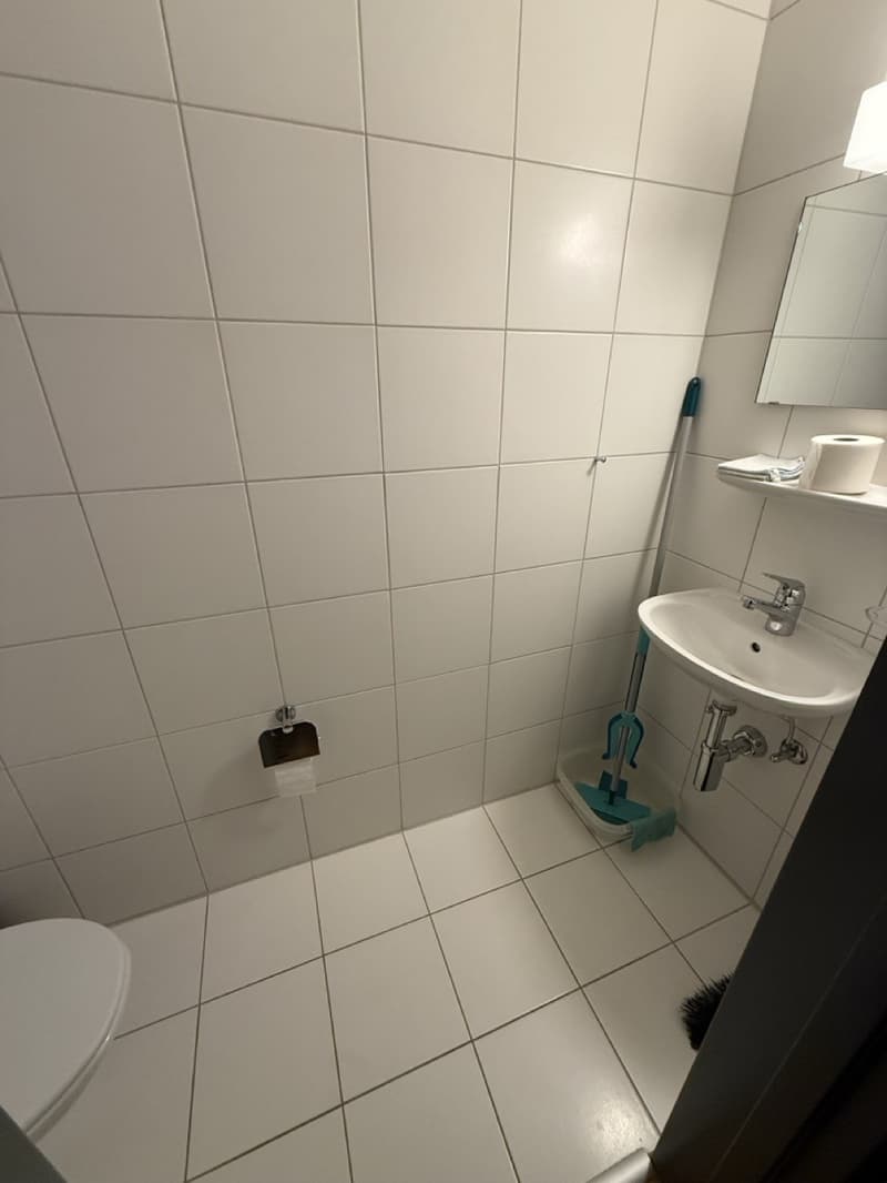Nachmieter Gesucht für schöne 3.5-Zimmer-Wohnung im 4. Obergeschoss (8)