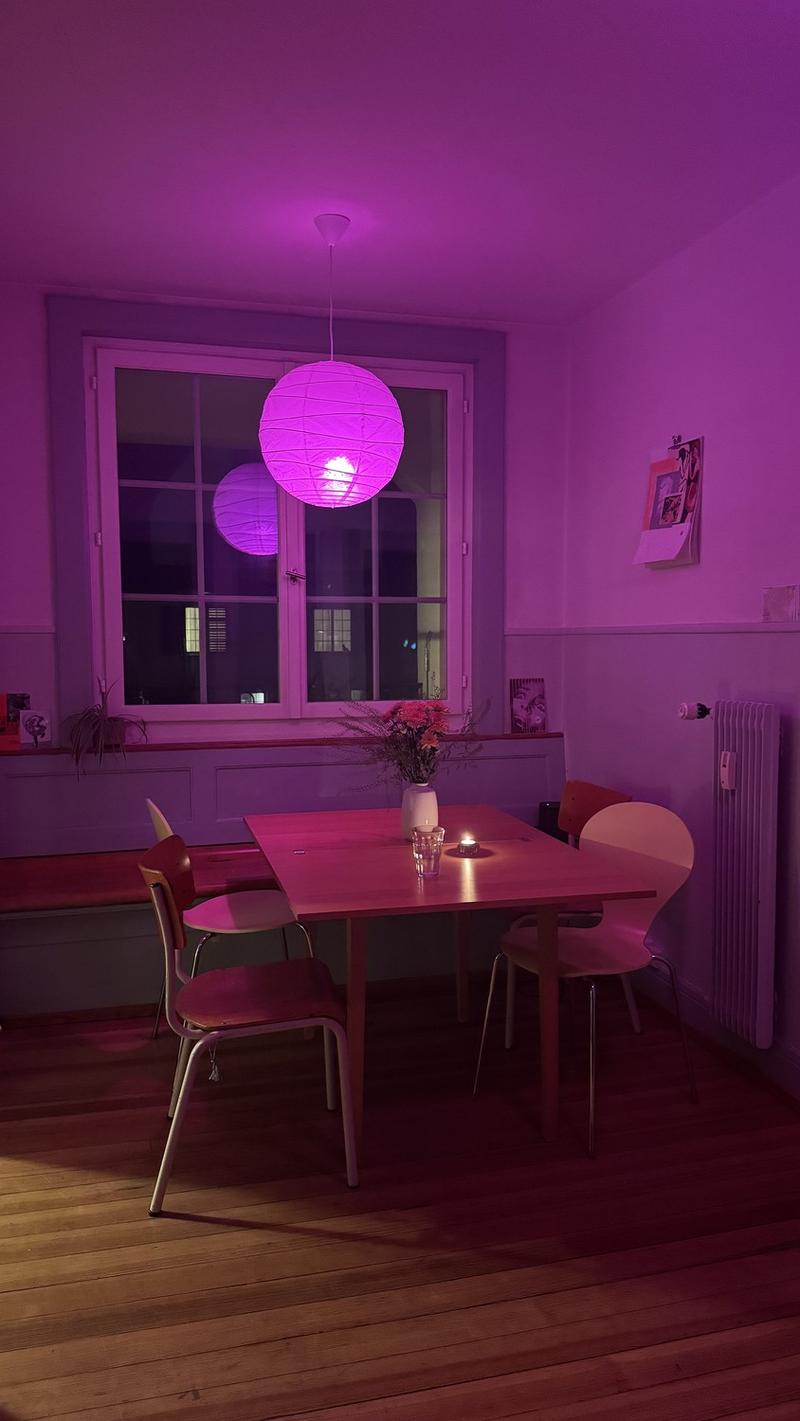 2.5 Zimmerwohnung zur Untermiete (5)
