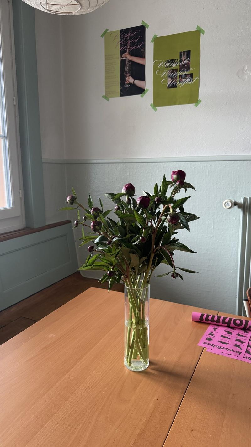 2.5 Zimmerwohnung zur Untermiete (6)