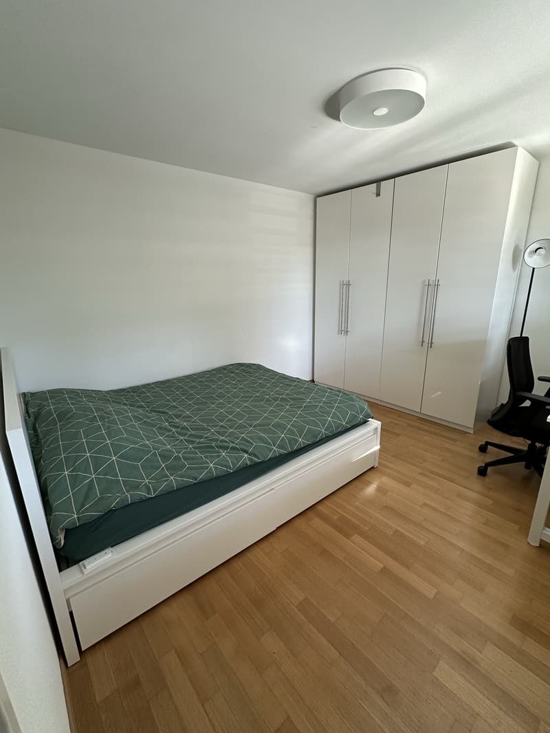 Helle 2.5-Zimmer-Wohnung mit Balkon in Zürich-Höngg  Nachmieter gesucht (8)
