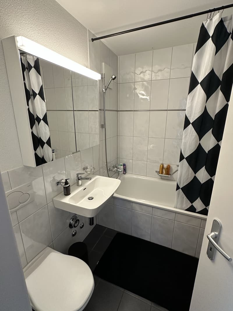 Helle 2.5-Zimmer-Wohnung mit Balkon in Zürich-Höngg  Nachmieter gesucht (6)