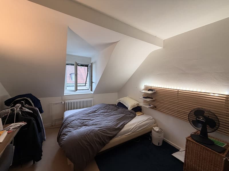 Friendly and clean guy wanted (1)