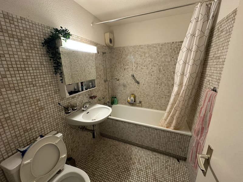 Furnished 2.5-room flat with sunny balcony in green Witikon sublet for 5 to 6 months (6)