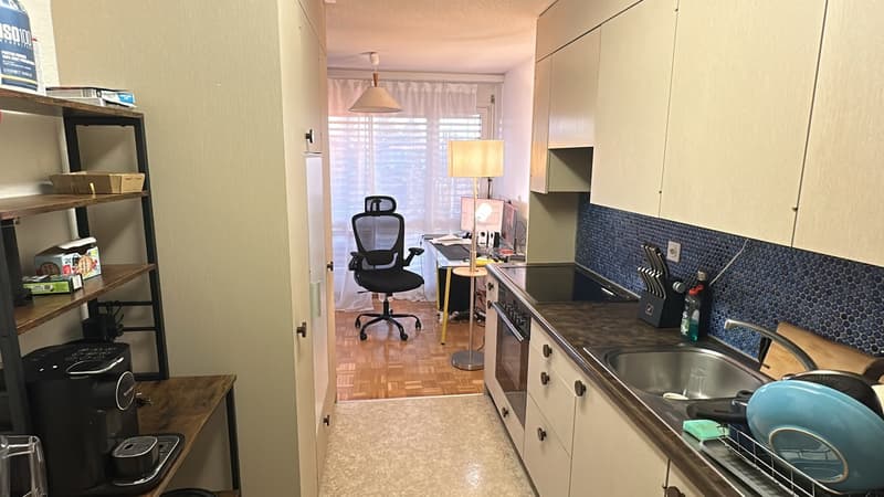 Furnished 2.5-room flat with sunny balcony in green Witikon sublet for 5 to 6 months (5)