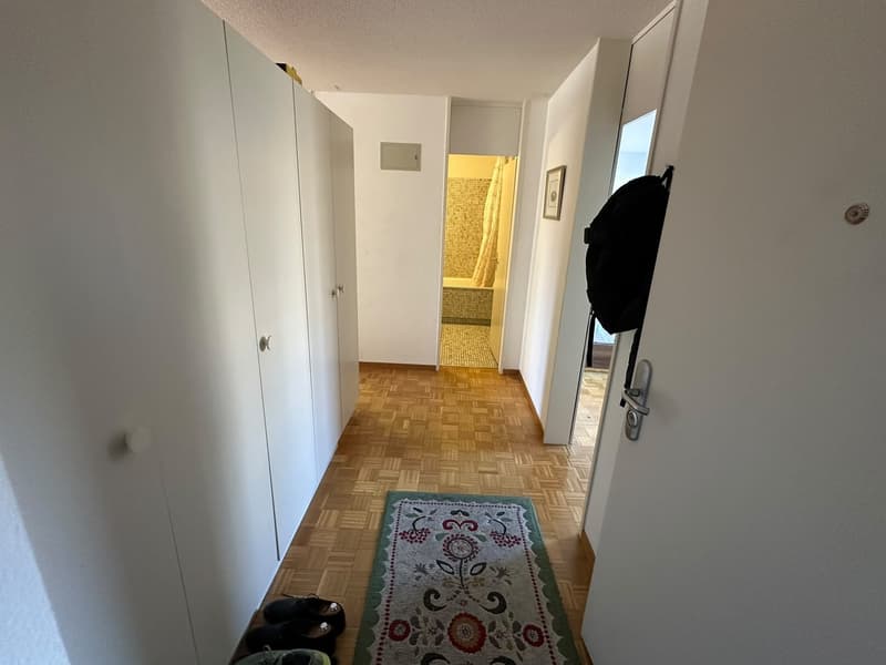 Furnished 2.5-room flat with sunny balcony in green Witikon sublet for 5 to 6 months (2)