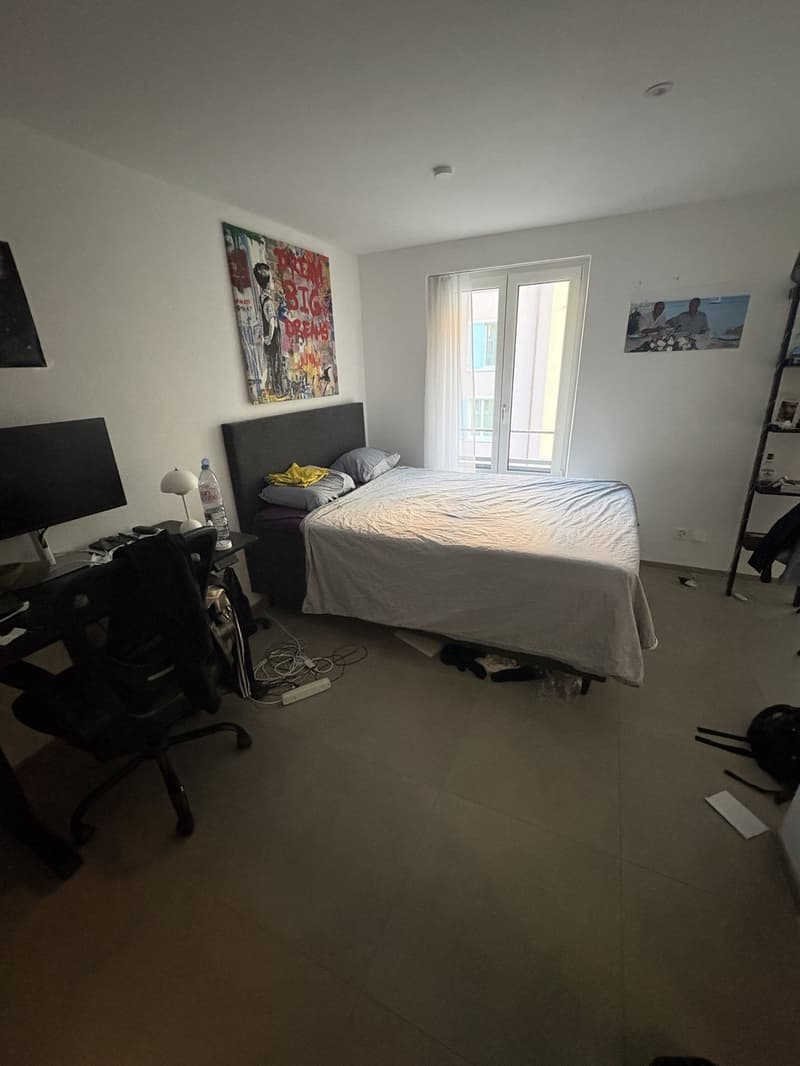 Studio apartment in Wiedikon (1)