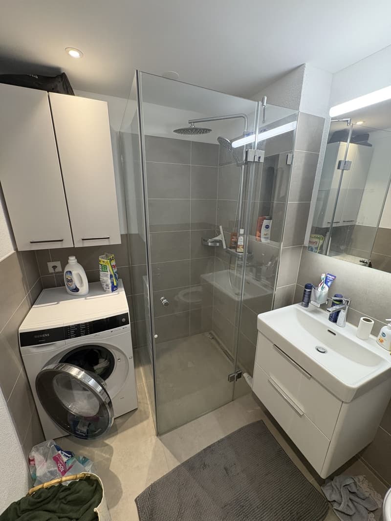 Studio apartment in Wiedikon (4)