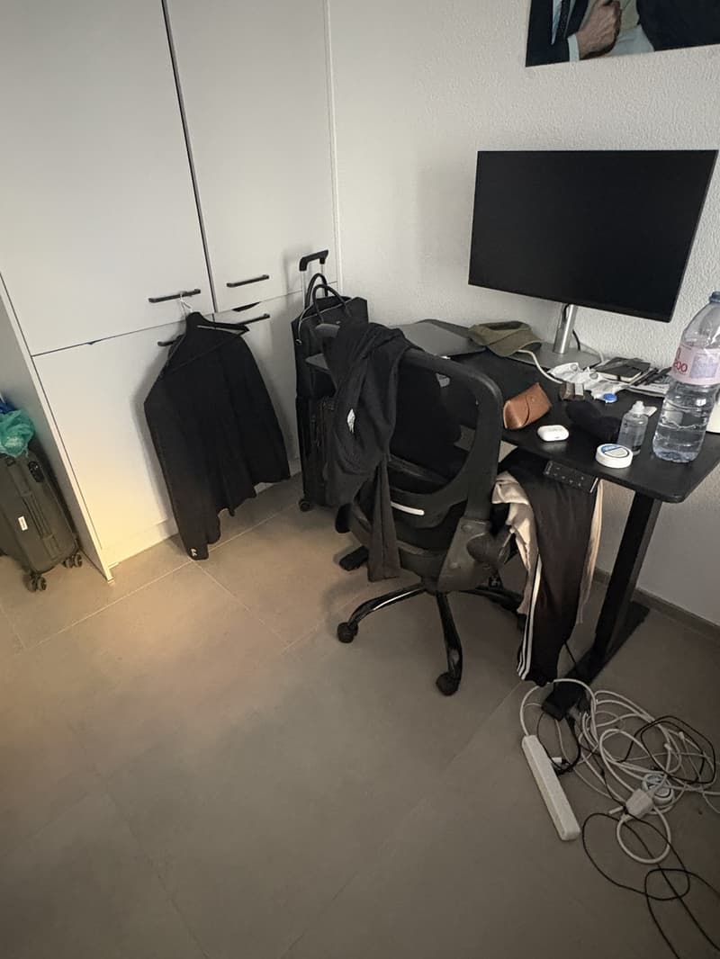 Studio apartment in Wiedikon (3)