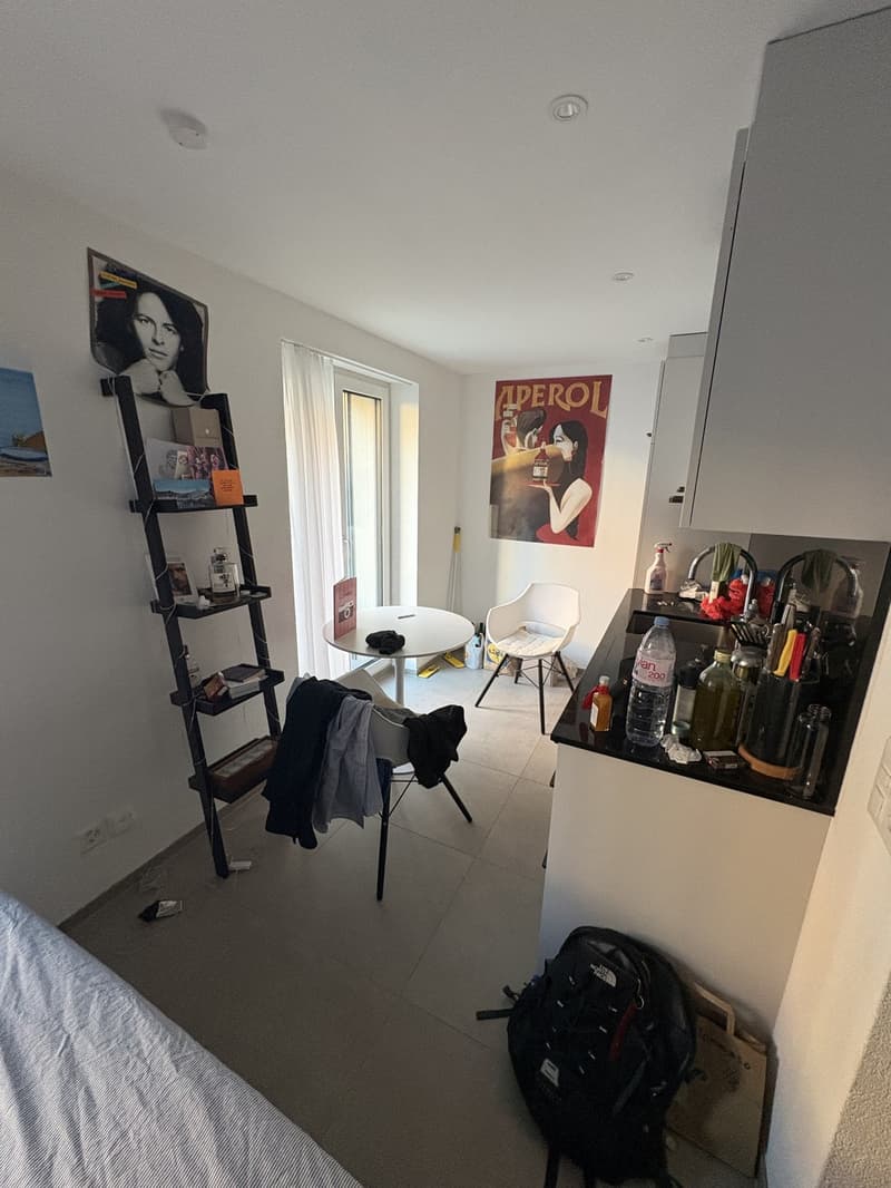 Studio apartment in Wiedikon (2)