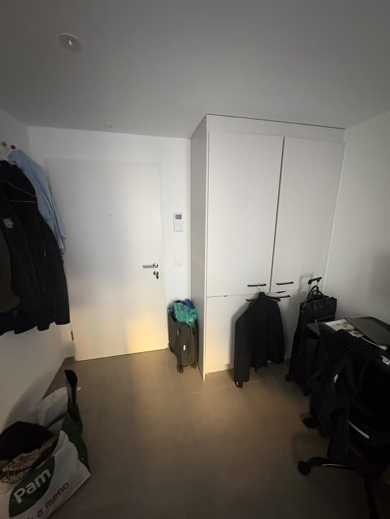 Studio apartment in Wiedikon (5)