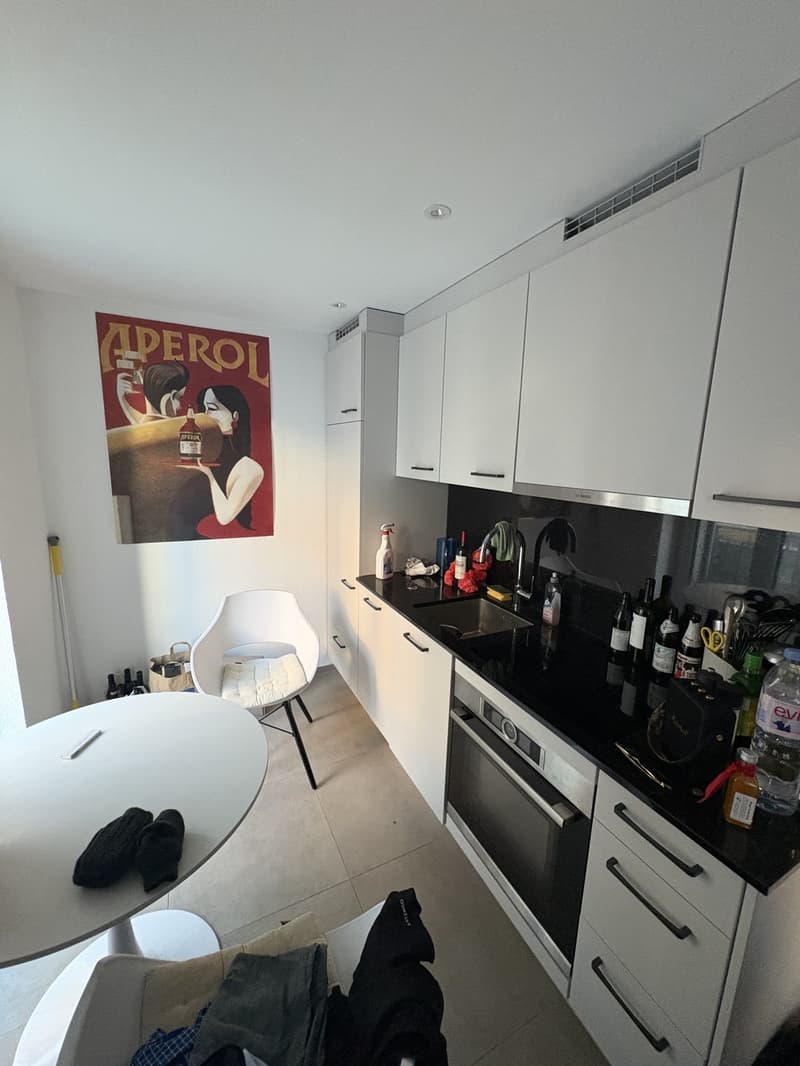 Studio apartment in Wiedikon (7)