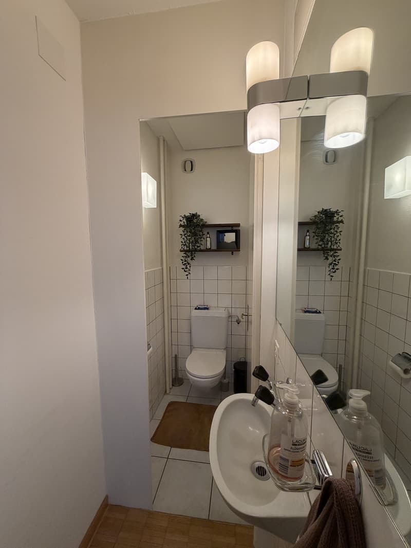 Grosszügige, lichtdurchflutete 3.5 Zimmerwohnung mit zwei Balkonen in Hottingen (3)