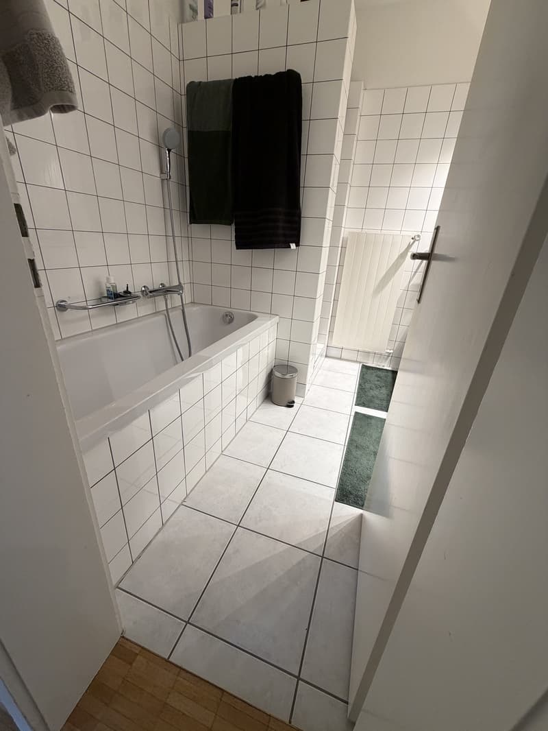 Grosszügige, lichtdurchflutete 3.5 Zimmerwohnung mit zwei Balkonen in Hottingen (9)