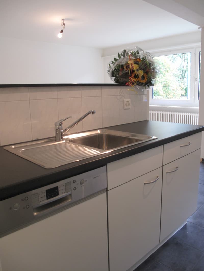 Helle 3.5-Zimmer-Wohnung mit Balkon in Baden ab sofort verfügbar (3)
