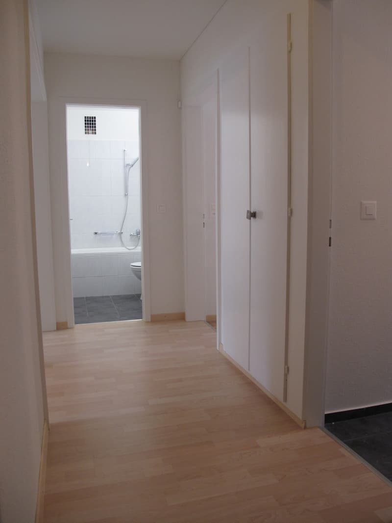Helle 3.5-Zimmer-Wohnung mit Balkon in Baden ab sofort verfügbar (1)