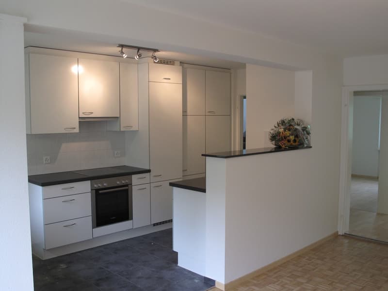 Helle 3.5-Zimmer-Wohnung mit Balkon in Baden ab sofort verfügbar (7)