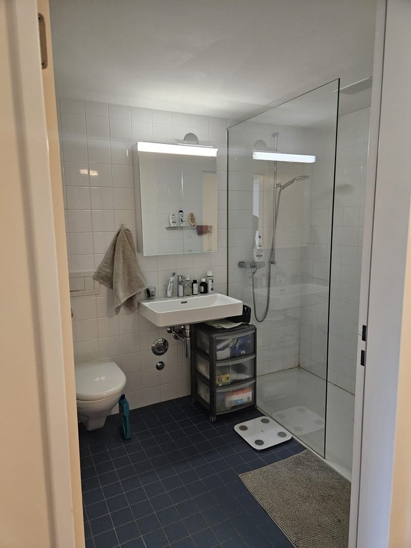 Room in a shared flat (6)