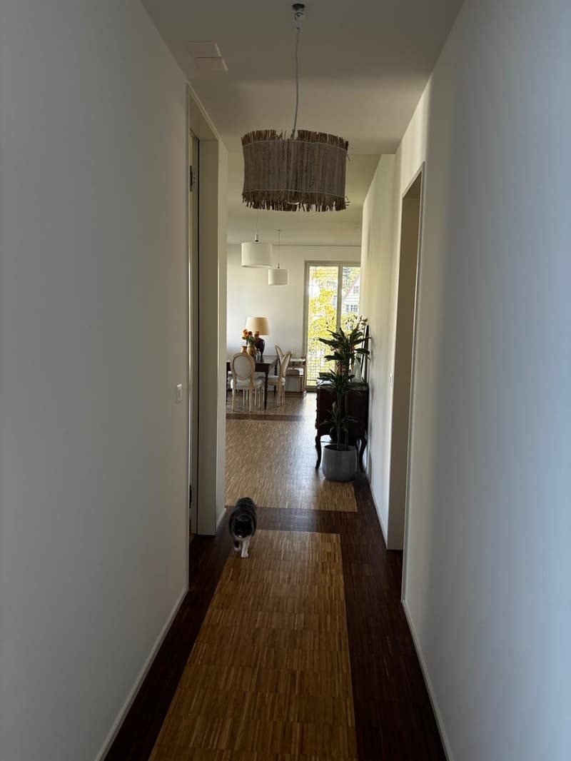 Beautiful and Bright Apartment in Zurich 8008  Available from 1 December 2026 (8)