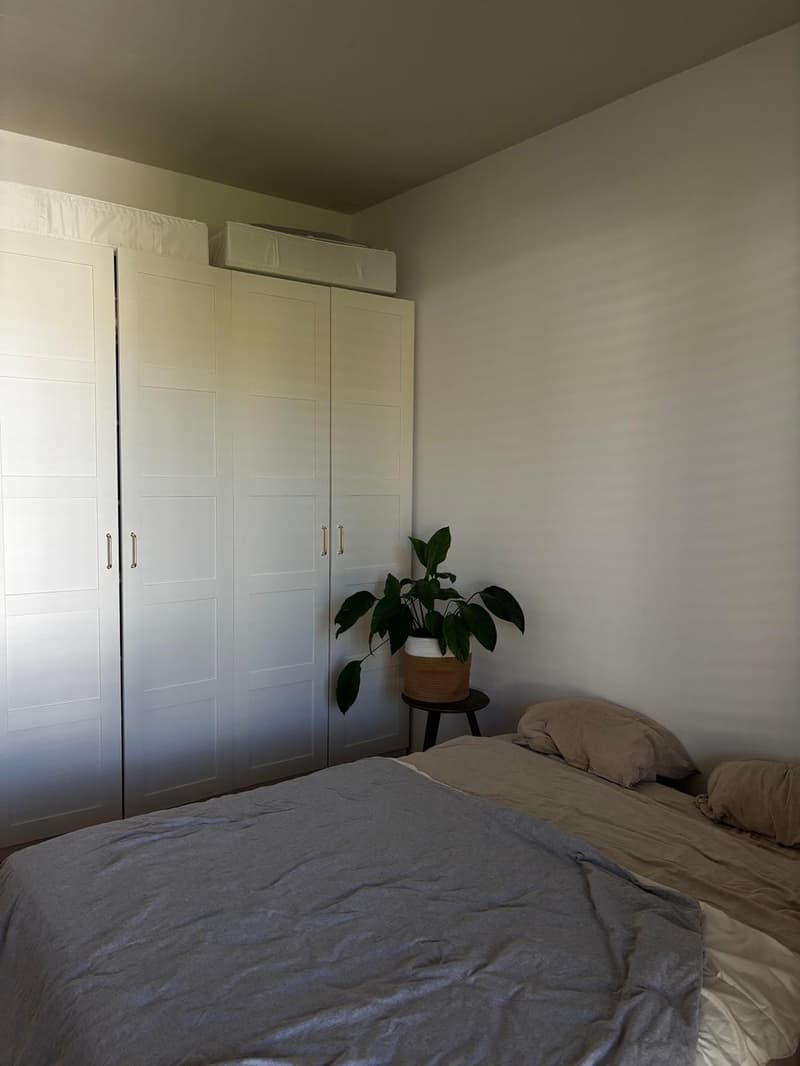 Beautiful and Bright Apartment in Zurich 8008  Available from 1 December 2026 (10)