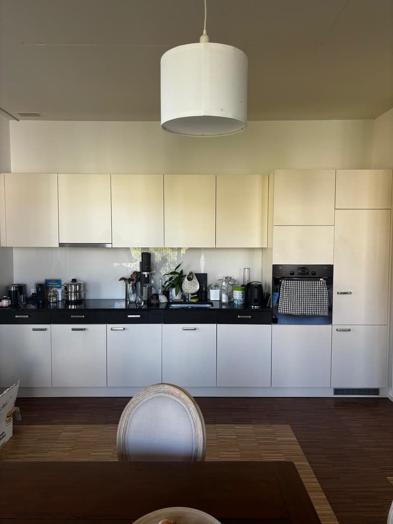 Beautiful and Bright Apartment in Zurich 8008  Available from 1 December 2026 (4)