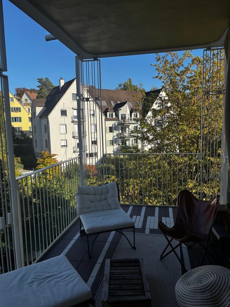 Beautiful and Bright Apartment in Zurich 8008  Available from 1 December 2026 (6)