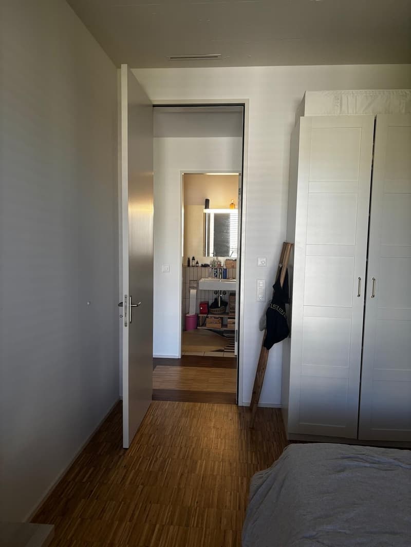 Beautiful and Bright Apartment in Zurich 8008  Available from 1 December 2026 (7)