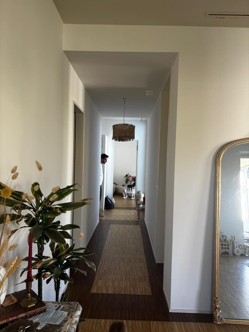 Beautiful and Bright Apartment in Zurich 8008  Available from 1 December 2026 (11)