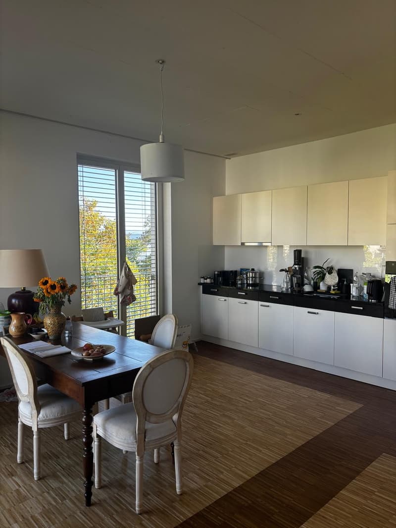 Beautiful and Bright Apartment in Zurich 8008  Available from 1 December 2026 (3)