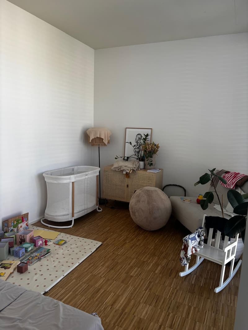 Beautiful and Bright Apartment in Zurich 8008  Available from 1 December 2026 (13)