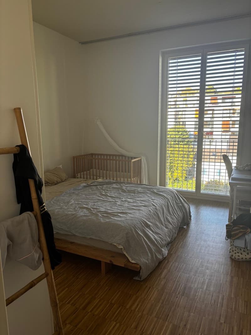 Beautiful and Bright Apartment in Zurich 8008  Available from 1 December 2026 (9)