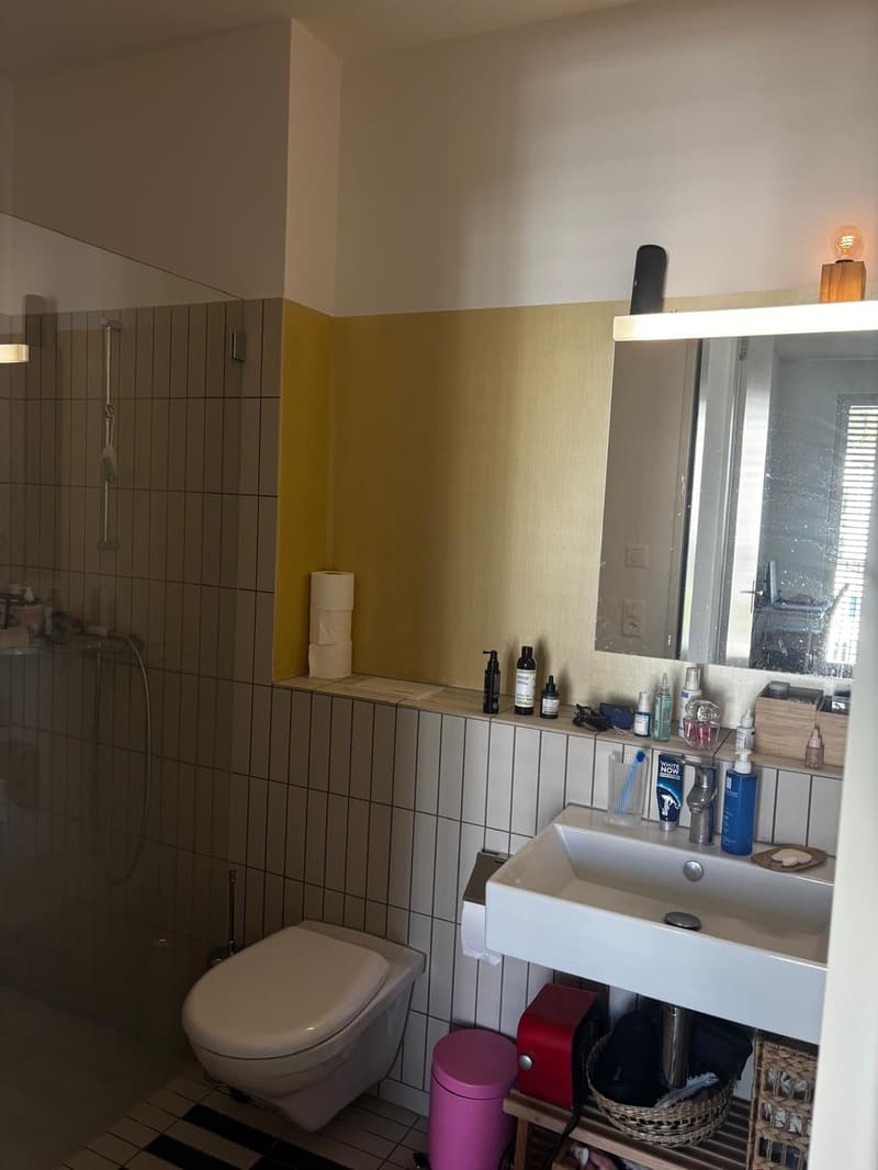 Beautiful and Bright Apartment in Zurich 8008  Available from 1 December 2026 (12)