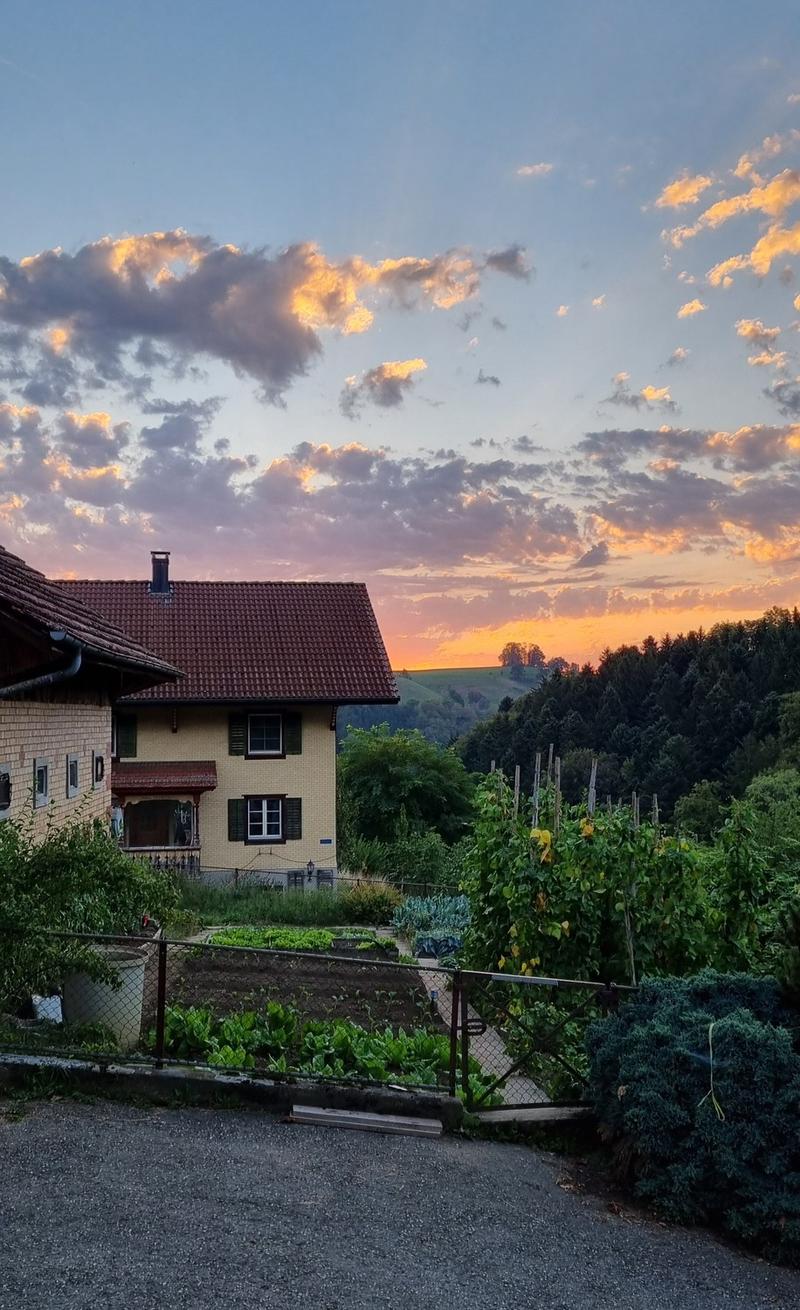 Gemütliches Zimmer in Ebersecken (4)