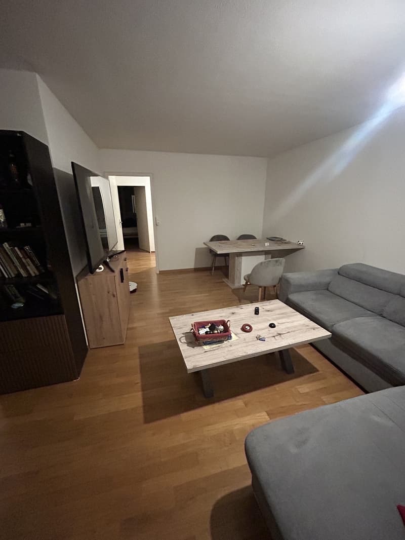 Beautiful room in a shared rooftop Appartment (3)