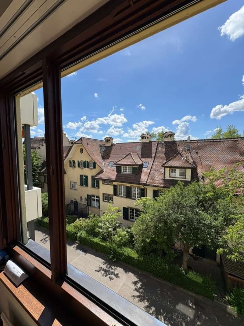 Room in spacious apartment near Schaffhauserplatz (4)