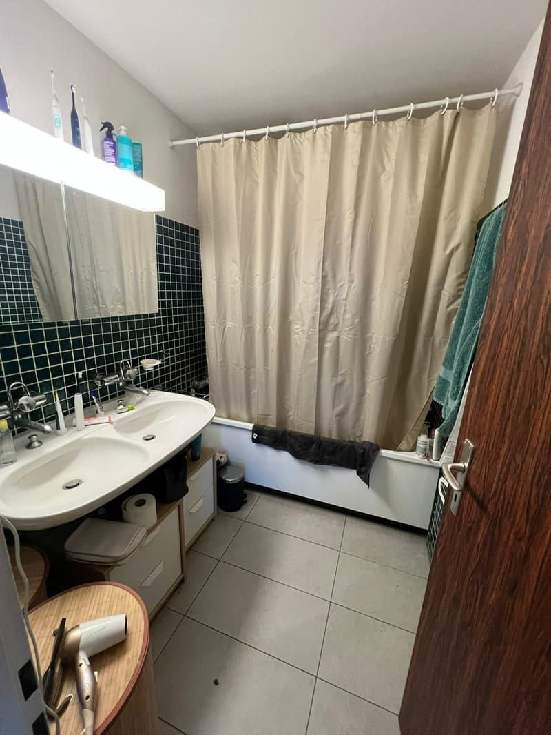 Room in spacious apartment near Schaffhauserplatz (8)