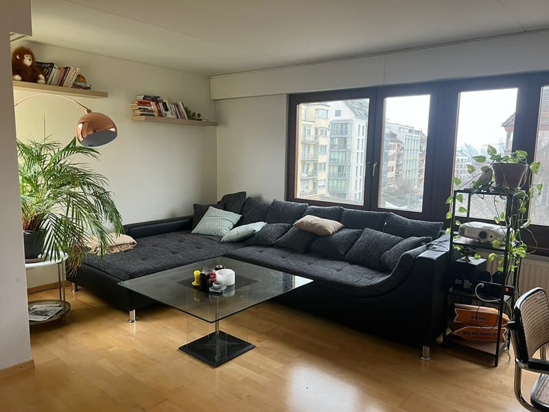 Room in spacious apartment near Schaffhauserplatz (5)