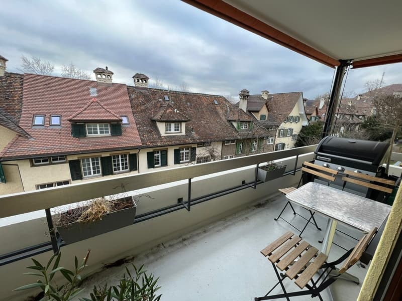 Room in spacious apartment near Schaffhauserplatz (6)