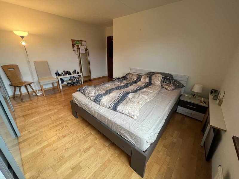 Room in spacious apartment near Schaffhauserplatz (1)