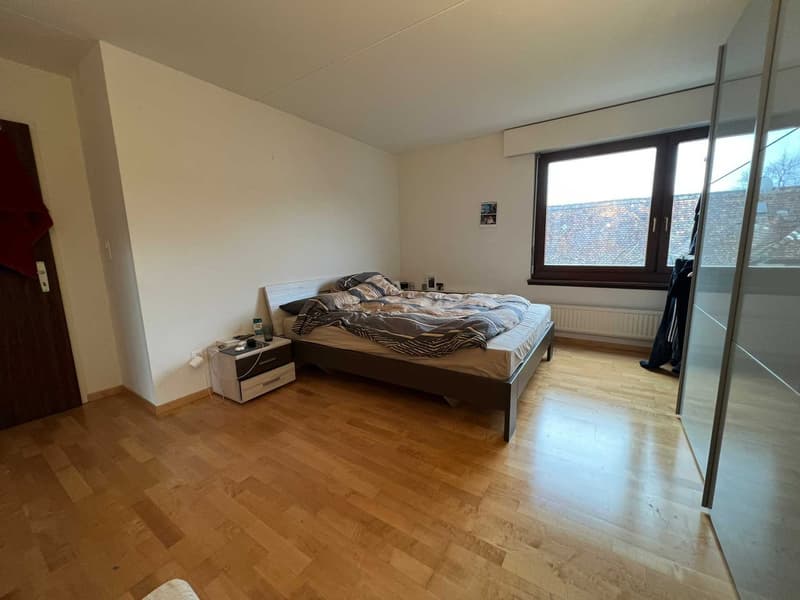 Room in spacious apartment near Schaffhauserplatz (3)