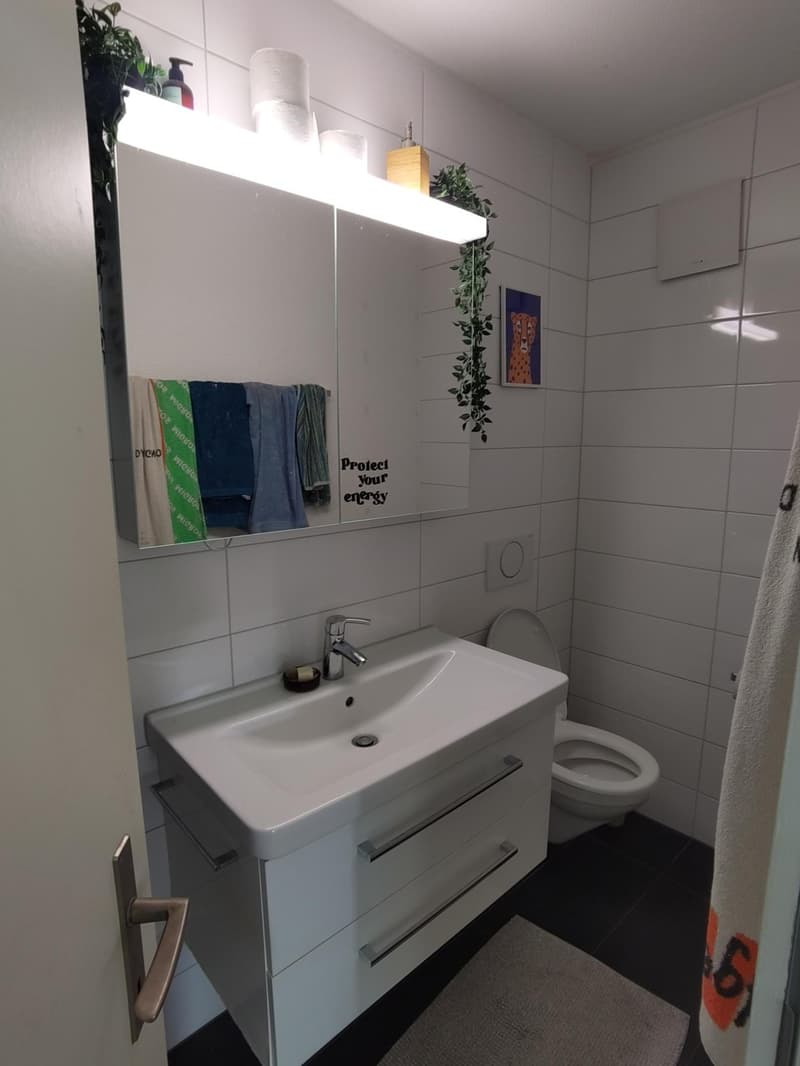 Mitbewohner*in ab November gesucht! (2)