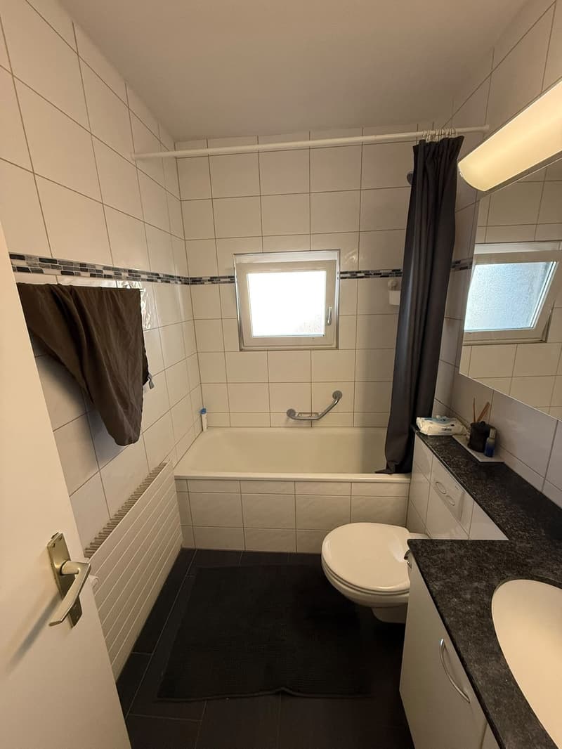 Hohlstrasse 349 Zurich (6)
