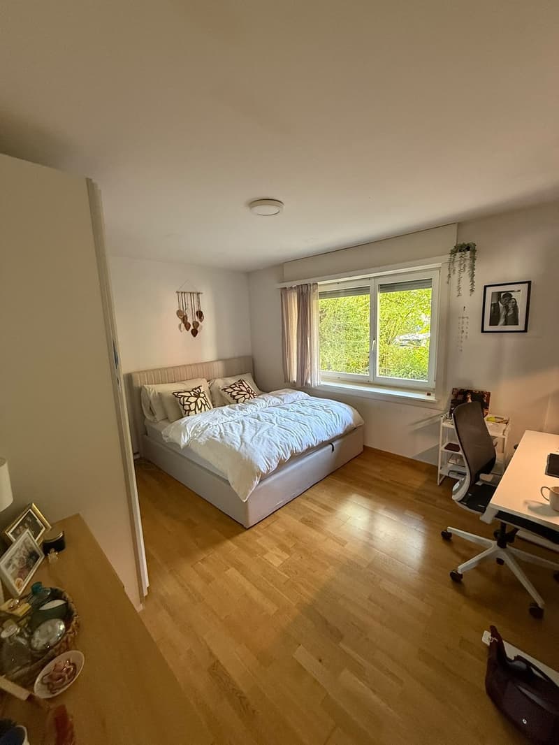 Hohlstrasse 349 Zurich (4)