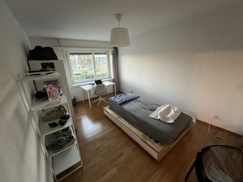 Hohlstrasse 349 Zurich (5)