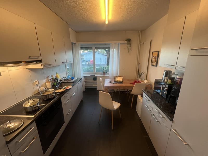 Hohlstrasse 349 Zurich (2)