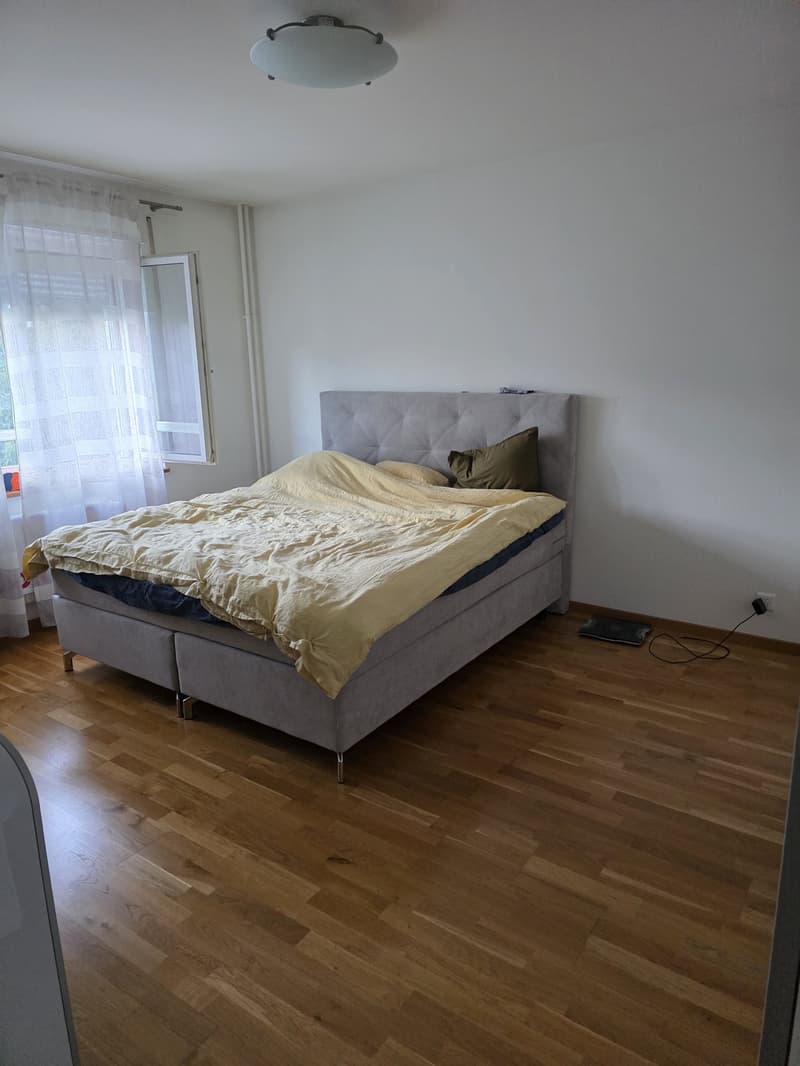 Charming 2 room ap in green and peaceful Wollishofen (10)