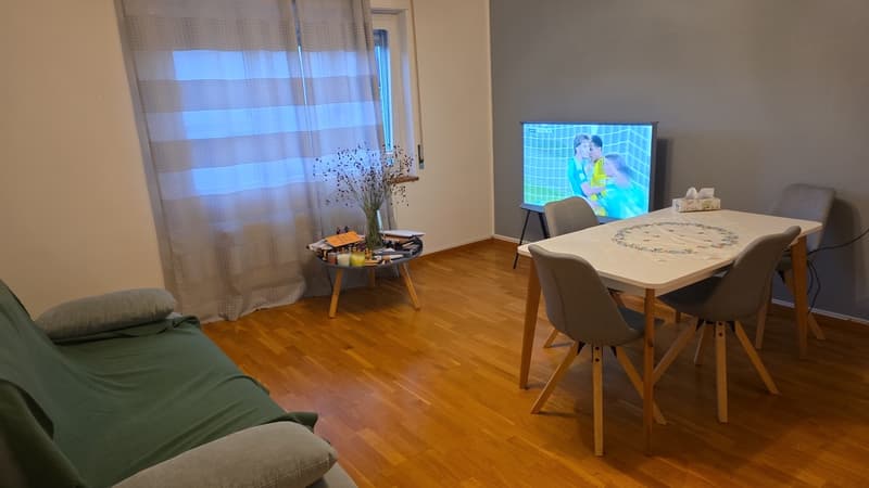 Charming 2 room ap in green and peaceful Wollishofen (4)