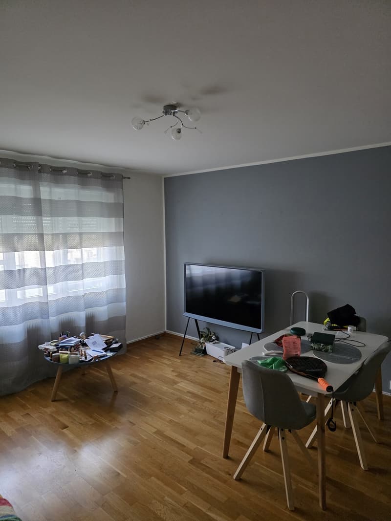 Charming 2 room ap in green and peaceful Wollishofen (1)